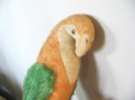 parrot old_01